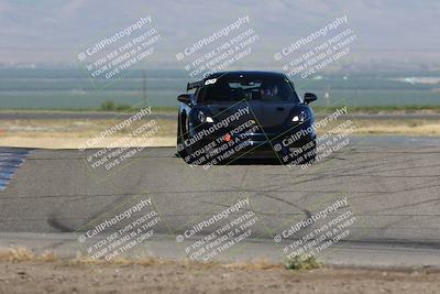 media/May-03-2024-PCA Central Coast (Fri) [[eaa7da0ee1]]/Yellow Group/Session 1 (Grapevine)/